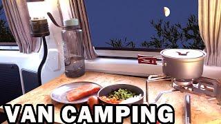 STEALTH VAN CAMPING - SOLO Car Camp -SIMPLE VAN/Enjoy the quiet time