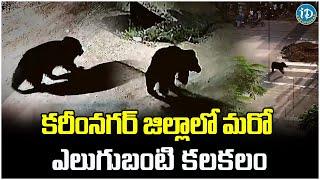 A Bear Halchal At Karimnagar District | Latest News Updates | iDream Karimnagar