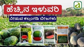 Top watermelon seed for Higher Yield | ಹೆಚ್ಚಿನ ಇಳುವರಿ ನೀಡುವ ಕಲ್ಲಂಗಡಿ ಬೀಜಗಳು #watermelonseeds #seeds