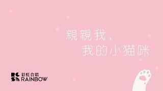 【彩虹合唱團】親親我，我的小貓咪——聽完這首你想起了誰，就去表白吧