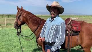 Horseback Riding with Proper Posture