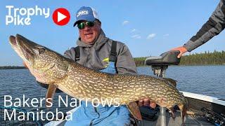 Trophy Northern Pike | Canada Drive To Fishing