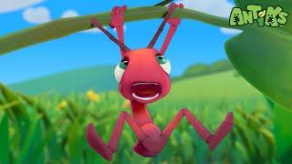 Scream Ant Shout | Full Episodes | Antiks | Cartoons for Kids