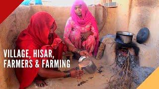 Village, Hisar, Farmers, Farming | Indian Village life | Haryana Travel Diaries