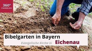 Evangelische Friedenskirche Eichenau: Bibelgarten mit Pflanzen der Bibel