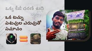 ధరణి శుద్ధి - పంటలకు అధ్భుత ఔషదం || TFS Sagubadi #suryabhaskar