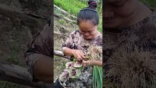 BEAUTIFUL RAINBOW| #shortvideo #gingerharvest #gingerflower #nature #shorts #villagelife #shortfeed