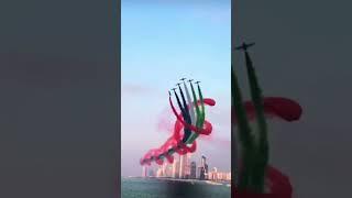 UAE  flag day air show in Dubai #shorts #uae