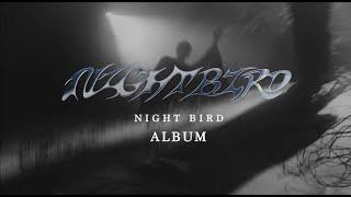 ALBUM PREVIEW “NIGHT BIRD” PECK PALITCHOKE