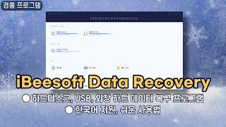 하드디스크, USB, 외장 하드 데이터 복구 프로그램 iBeesoft Data Recovery! 1년 무료 경품, 한국어 지원 [2월 21일 수정]