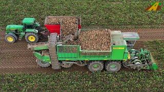 STOLL Rübenroder SF 6.25  Der Letzte seiner Art bei der Rübenernte 2020 germany sugar beet Harvester