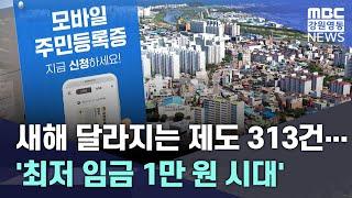 [뉴스리포트] 새해 달라지는 제도 313건... '최저 임금 1만 원 시대'  20250101