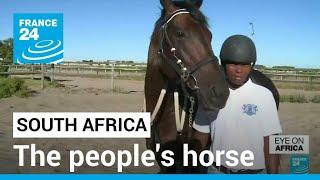 South Africa: The 'people's horse' winning Cape Town's prestigious races • FRANCE 24 English