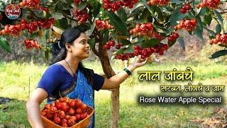 Rose Apple Recipes | लाल जांब लोणचे,सरबत,जाम | Summer Fruit | Village Cooking | Red Soil Stories