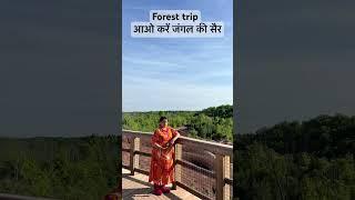 #jungle trip #exploring #environment #rivers #nature #bhakti #gyan