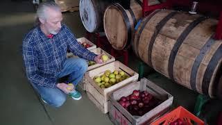 apple varieties