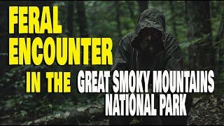 FERAL ENCOUNTER in the GREAT SMOKY MOUNTAINS NATIONAL PARK!