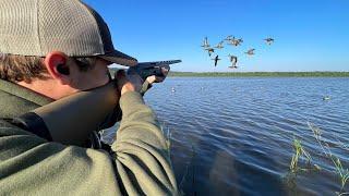 Duck Hunting Opening Day Teal 2024! (Catch Clean Cook)