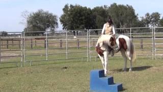 How to Re-start a Traumatized Riding Horse: Bandit, Part II