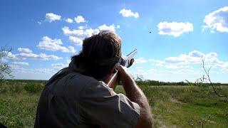 Dove Hunting on Opening Weekend in Texas