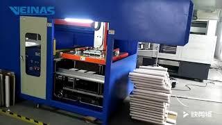 VEINAS EPE foam & cardboard laminating machine