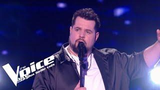 Daniel Balavoine - SOS d'un terrien en détresse - Aurélien | The Voice 2023 | Cross Battles