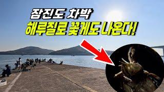 낚시의 성지 잠진도 차박시 이점 주의하세요 & 해루질로 꽃게도 나온다