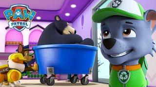 I cuccioli salvano una famiglia di orsi addormentati e altri animali! - PAW Patrol Episodi Italiano