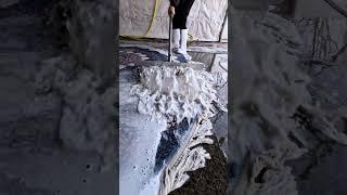 Dirty Carpet Watch This Deep Clean Process!  #satisfying #aladdin #relax