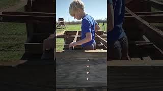 Chicken Coop Renovation No. 3