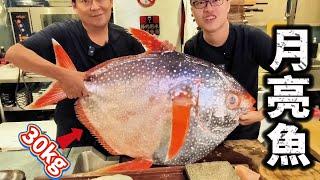 堪比中樂透 全台唯一紀錄 月亮魚 Moonfish 世界唯一恆溫魚 拆解試吃 震撼全場雞皮疙瘩掉滿地!!
