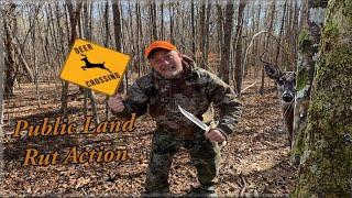 Almost Ran Over!!!!- Alabama Public Land Rutting Action; Proof Deer Calls Work!!!!