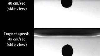 Dynamics of Water Entry of Hydrophilic & Hydrophobic Spheres