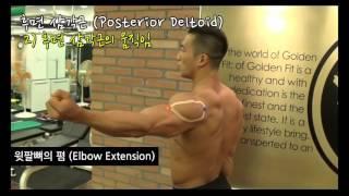 윤태식 트레이너 부위별 움직임 영상 - 5) 후면삼각근