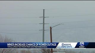 Winds increase the chances of power outages in New Mexico