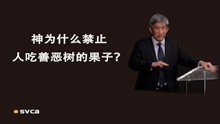 福音问答： 神为什么禁止人吃善恶树的果子？