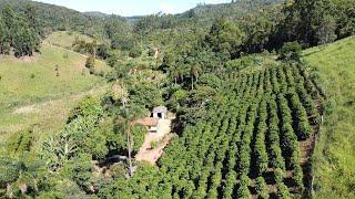 SÍTIO SÃO JOSÉ / REGIÃO DE CAFÉ / MUITO CAPIM / CÓRREGO / VALOR $420.000.00 COM A COLHEITA DE CAFÉ