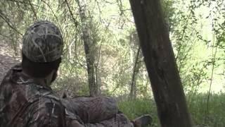 Ohio Spring Turkey Season Hens