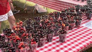 National Cherry Festival- Traverse City, MI 