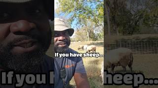 Turbo Sheep Netting | Gallagher