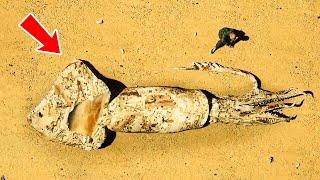 Strangest Things Found on the Beach + Other Weird Discoveries