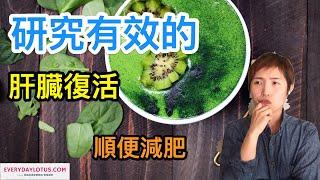 喝這個花茶幫你減肥【順便去毒】研究有效的liver detox-》肝臓復活