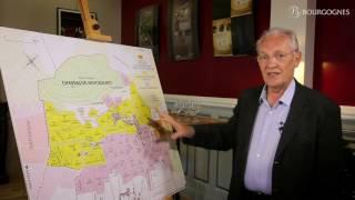 The Côte de Beaune explained by Jean-Pierre Renard