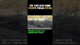 3950만원 포항부동산 농막토지 주말농장 전원주택지 토지매매 기계면 봉계리 #착한부동산 #shorts