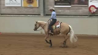 NRHA Oceania 2024 - Novice Horse  Open L1 Champion