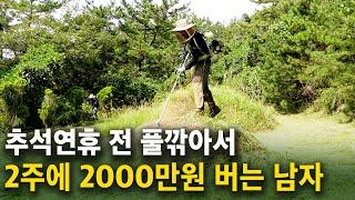 추석명절 전 벌초대행으로 2주에 2000만원 버는 남자 [벌초대행] 형씨네