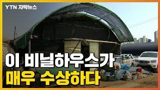 [자막뉴스] 밤마다 늘어선 차량...수상한 비닐하우스의 정체 / YTN