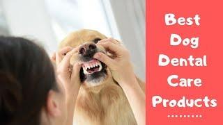 Best Dog Dental Care Products - Top Dog Dental Chews & Treats Reviews