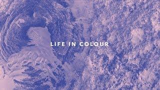 One Hope Project - Life In Colour (Official Lyric Video)