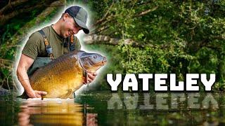 I Dreamt Of This Moment!  | Carp Fishing Yateley | PLUS NEW TACKLE